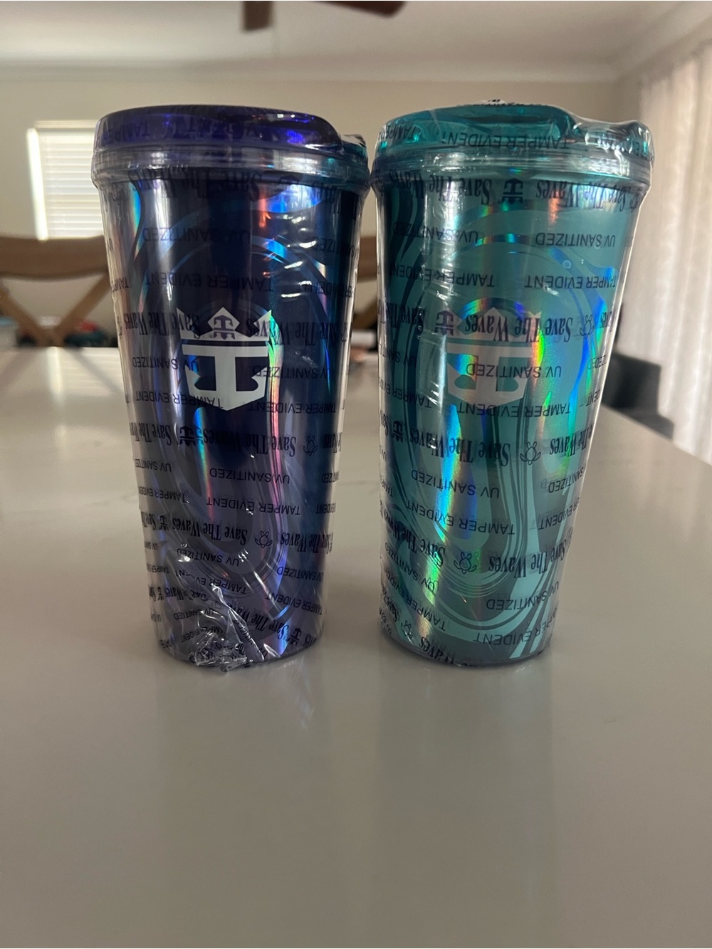 Royal Caribbean Iridescent Travel Tumblers - Purple & Teal (Set of 2)